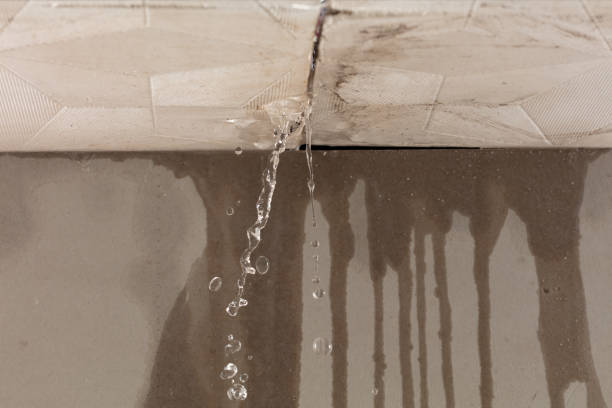 Professional Structural Drying technician working in Holmesville, OH